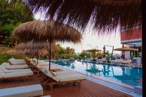 a group of lounge chairs and umbrellas next to a swimming pool at Padel Olivia's Hill Resort in Durrës