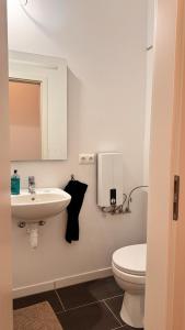 een badkamer met een wastafel en een toilet bij Central premium apartment in München