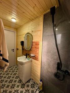 a bathroom with a toilet and a mirror and a sink at Chalet in Ghulelebi in Ghulelebi