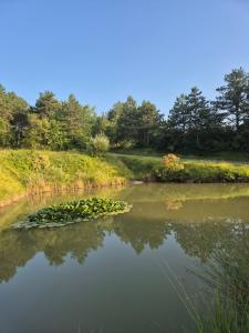 Paesaggio naturale nelle vicinanze dell'appartamento