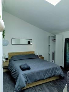 フォワにあるAppartement cosy centre villeの大きなベッドと鏡のある寝室