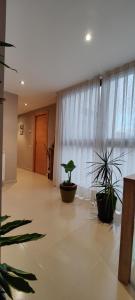 a hallway with two potted plants in front of a window at Ca l'Esmolet in Tremp
