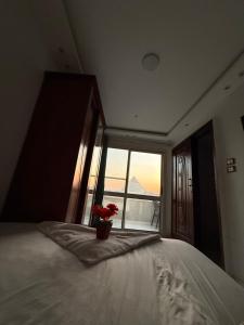 Uma cama ou camas num quarto em Sphinx Middle East