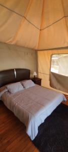 una camera da letto con un letto in una tenda di Glamping Villa de Leyva a Estación El Salto