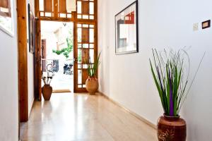 Φωτογραφία από το άλμπουμ του Skiathos House στη Σκιάθο Πόλη