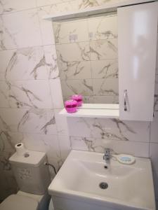 a bathroom with a sink and a toilet and a mirror at Free Comfort Apartments Star Dojran in Star Dojran