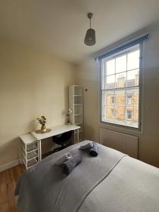 a bedroom with a bed and a desk and a window at Edinburgh Centre - George Square Residence in Edinburgh