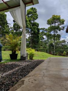 a white umbrella sitting on the side of a walkway at Tropical Crystal House in Guápiles