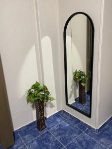 Un espejo en un baño con dos plantas en macetas. en Sena pyramids view inn, en El Cairo