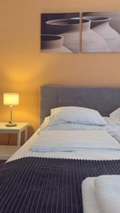 Een bed of bedden in een kamer bij Code Srebrno Jezero