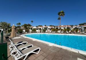 a swimming pool with lounge chairs and palm trees at Colorado Golf by Infinity Summer in Maspalomas +6 photos