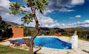 a pool with two chairs and a tree next to it at Aldeia da Serra Lapinha in Santana do Riacho