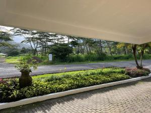 Zahrada ubytování Hotel Ladera