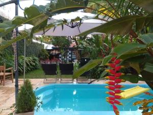 a plant with a red flower next to a pool at La Pasteur Espacio Social Privado in Posadas