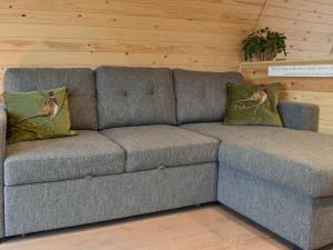 Sofá gris con 2 almohadas en una habitación en Hayfield Haven-Uk40691, en Crowhurst