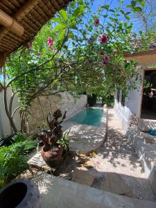 Gallery image of Casa Madonna in Pemuteran