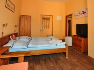 a bedroom with a large bed and a television at Hotel U Radnice in Louny