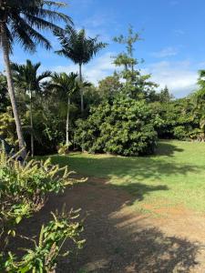 a park with palm trees and a field of grass at Maison bougainvilliers in Dumbéa