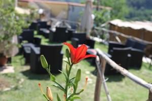 Zahrada ubytování Agriturismo da Regina