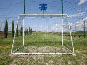 a soccer goal in a field with a ball at Peccioli Family Retreat w Fun in Peccioli +32 photos