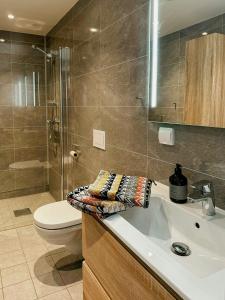 ein Badezimmer mit Waschbecken, Toilette und Dusche in der Unterkunft Mountain Apartment With Views In Myrkdalen in Vossestrand