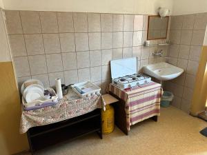 Koupelna v ubytování Soba Pri Kosu