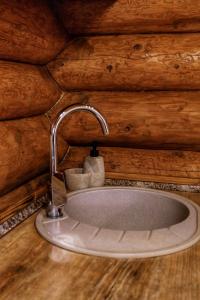 a sink in a bathroom with a wooden wall at Ray Eco Resort in Mukacheve +68 photos