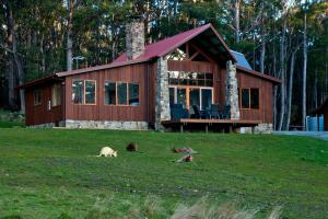 a house with animals laying in the grass in front of it at Adventure Bay Retreat Bruny Island in Adventure Bay