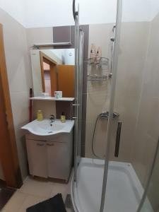 un bagno con doccia e lavandino di Apartment Nesrine a Bihać Altre 21 foto