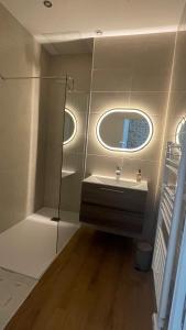 ボンヌヴィルにあるAppartement cosy et calmeの飛行機内の洗面台と鏡を備えたバスルーム