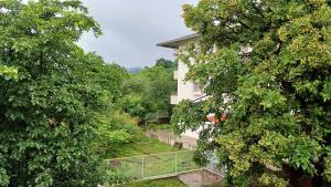 Zahrada ubytování Machan Villas by Holiday Club + 29 fotografií