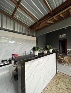 eine Küche mit einer Theke mit Topfpflanzen darauf in der Unterkunft Victoria Homestay in Pulau Lutung