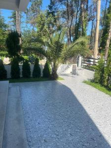 Zahrada ubytování NinosVilla (Shekvetili\Kaprovani) 70м до моря + 149 fotografií