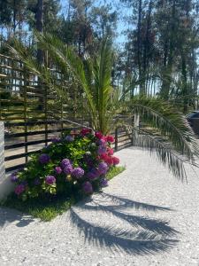 Zahrada ubytování NinosVilla (Shekvetili\Kaprovani) 70м до моря