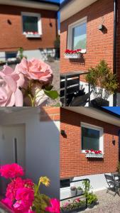 a group of four pictures of flowers in a window at Vellinge Nest in Vellinge +6 photos