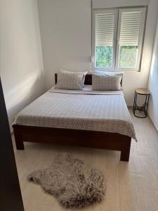 Cama en habitación con ventana y alfombra en Zemun ES stan na dan, en Belgrado 3 fotos más