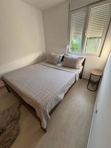 1 dormitorio con 1 cama con 2 almohadas y 2 ventanas en Zemun ES stan na dan, en Belgrado