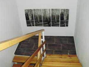 Zdjęcie z galerii obiektu Villa Maximus w mieście Jáchymov