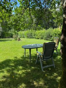 a table and a chair sitting next to a tree at Arduinna's Nest B&B in Neufchâteau