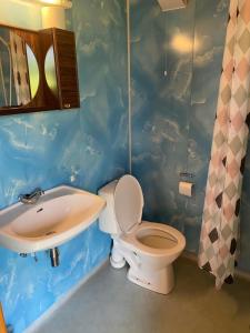 un baño con inodoro y lavabo en Veganeset Camping, en Balestrand 21 fotos más