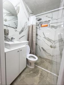 a bathroom with a toilet and a sink and a shower at Cabana Moldovan Baisoara cu piscina interioara, ciubar, spa in Lunca Largă +21 photos