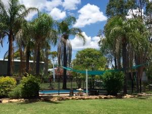 a park with palm trees and a fence with a tennis court at Cattle Camp Motel in Taroom
