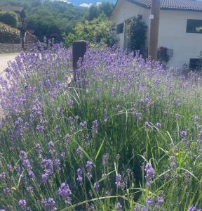 Taman di luar Bilocale per gli amanti dello sci