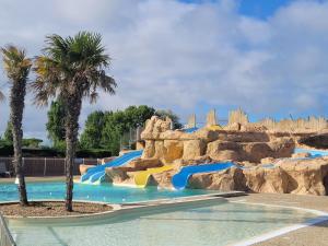 a water slide at a theme park with palm trees at Notre Oléronaise in Saint-Denis-dʼOléron