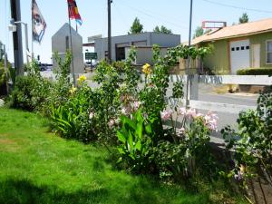 a garden with flowers and a house at Jumping Frog Motel in Angels Camp