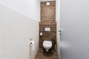 a bathroom with a toilet and a toilet paper dispenser at Soukromý Apartmán PVV Pec in Pec pod Sněžkou