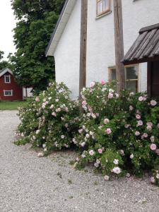 ヴィスビーにあるMallas Stenstugu B&Bのギャラリーの写真