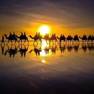 a group of people riding horses on the beach at sunset at Villa de luxe Océan Asilah in Asilah