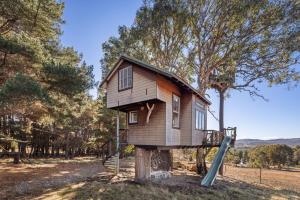 a tree house on a stump with a slide at Haven Farmstead Treehouse  +52 photos