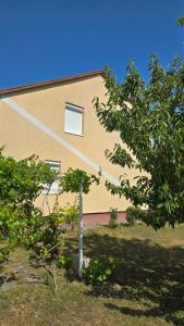 a building with a tree in front of it at Szederinda házikó in Alsóörs